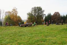 Bolkovská STROMOVKA