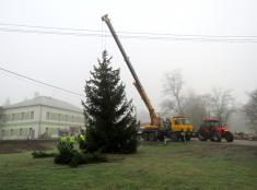 Kácení Vánočního stromu 24.11.2020