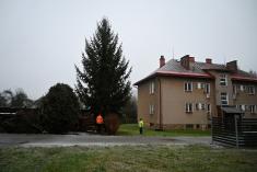 Kácení Vánočního stromu - 3.12.2024