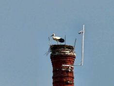 Čapí hnízdo - Leopoldov - živé vysílání - 26.3.2025