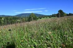 Mykologická vycházka - 20.9.2025