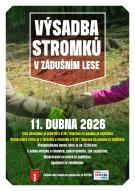Výsadba stromků v Zádušním lese